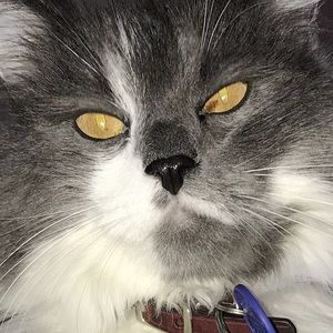 Meet your Posher, Simran